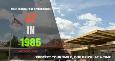 Bisbee, AZ Healthcare History: Which Hospital Served in 1985?