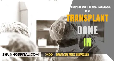 Revolutionary Milestone: The Hospital Behind the First Successful Bone Transplant