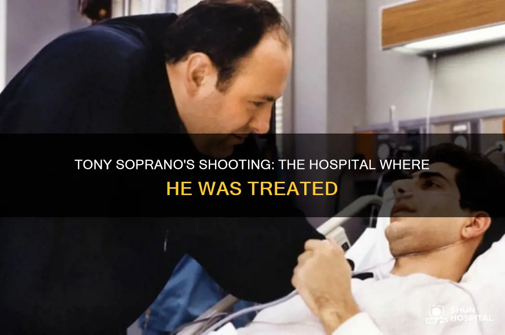 what hospital was tony soprano in when he got shot