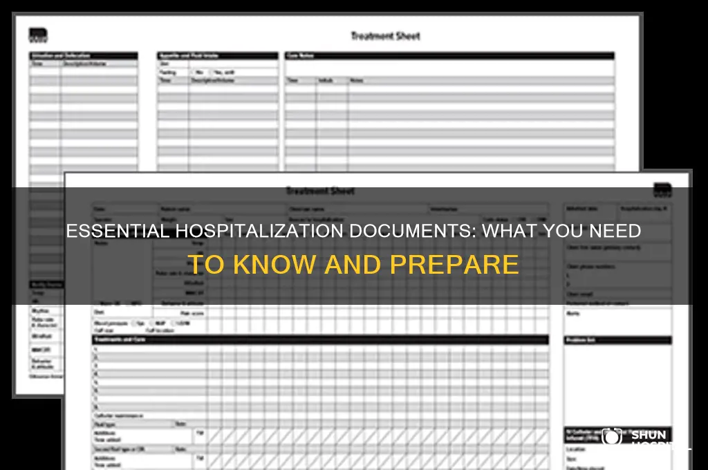 what hospitalization documents
