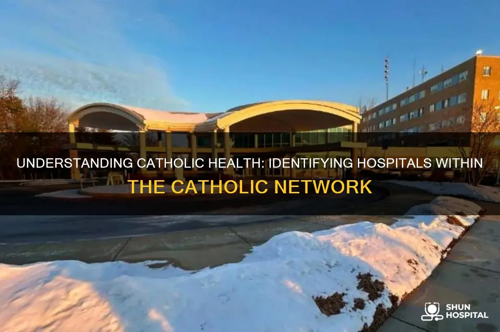 what hospitals are catholic health