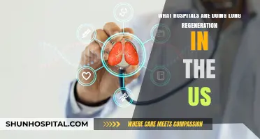 US Hospitals Pioneering Lung Regeneration: Innovations and Leading Centers
