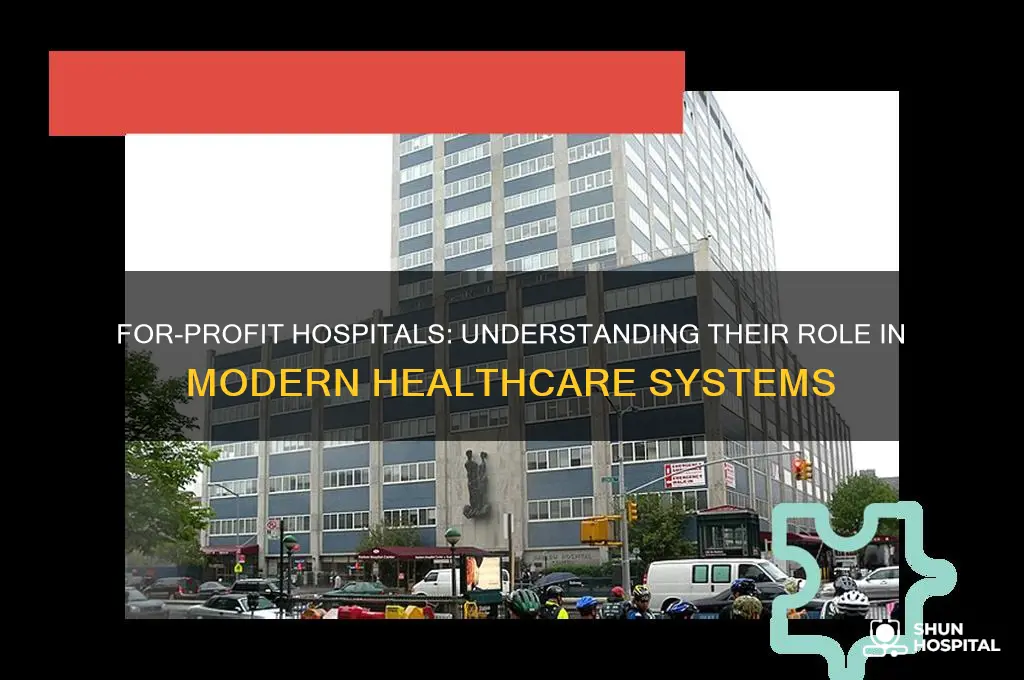 what hospitals are for profit