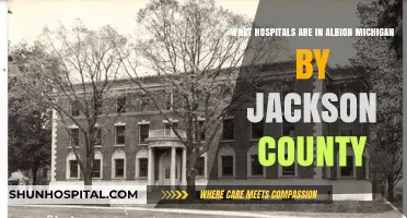 Discovering Albion, Michigan's Healthcare: Hospitals in Jackson County