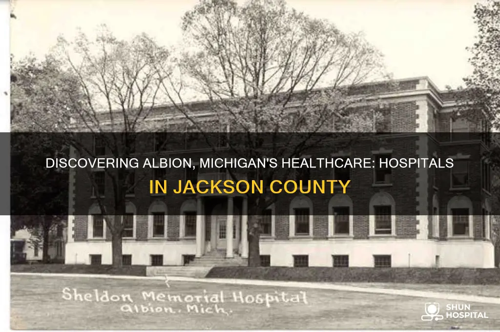 what hospitals are in albion michigan by jackson county