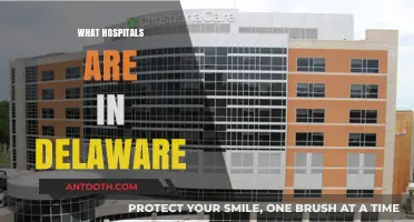 Exploring Healthcare Options: A Guide to Delaware's Hospitals