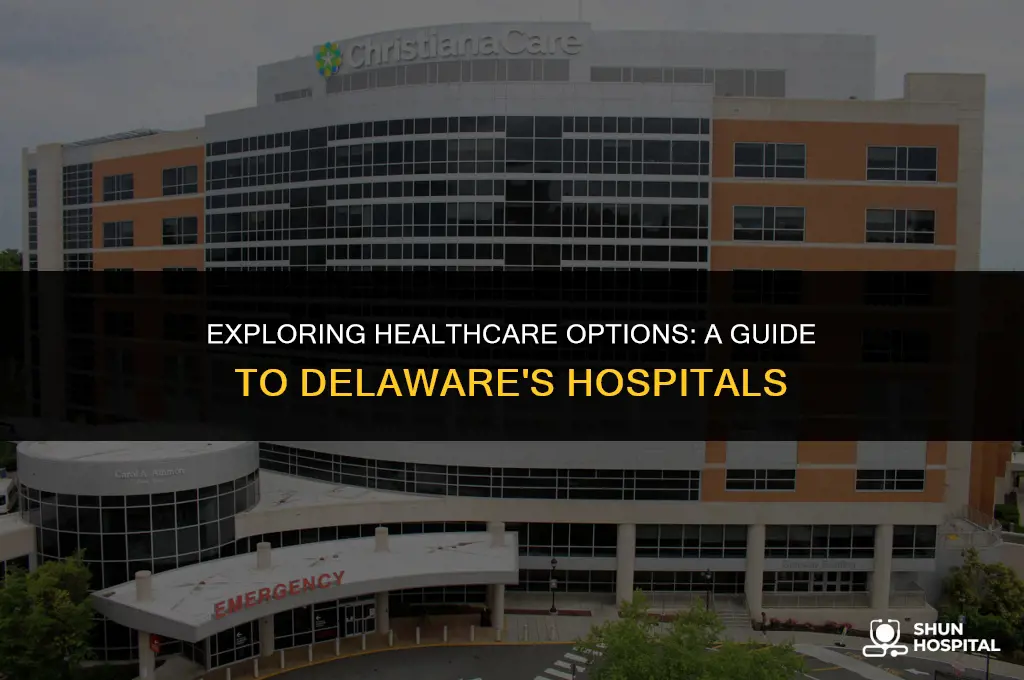 what hospitals are in delaware
