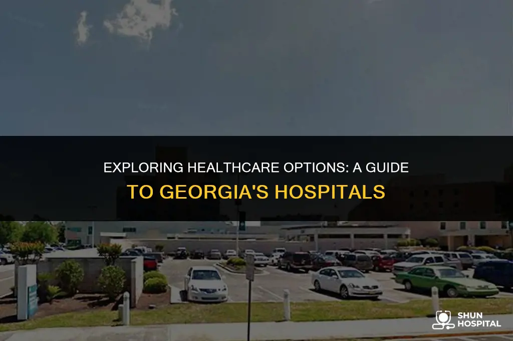 what hospitals are in georgia