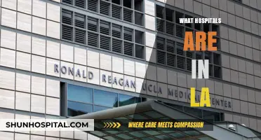 Exploring Healthcare Options: A Guide to Hospitals in LA
