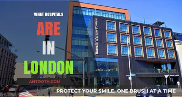 Exploring Healthcare Options: A Guide to London's Hospitals
