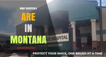 Exploring Montana's Healthcare: A Guide to Hospitals in the Treasure State