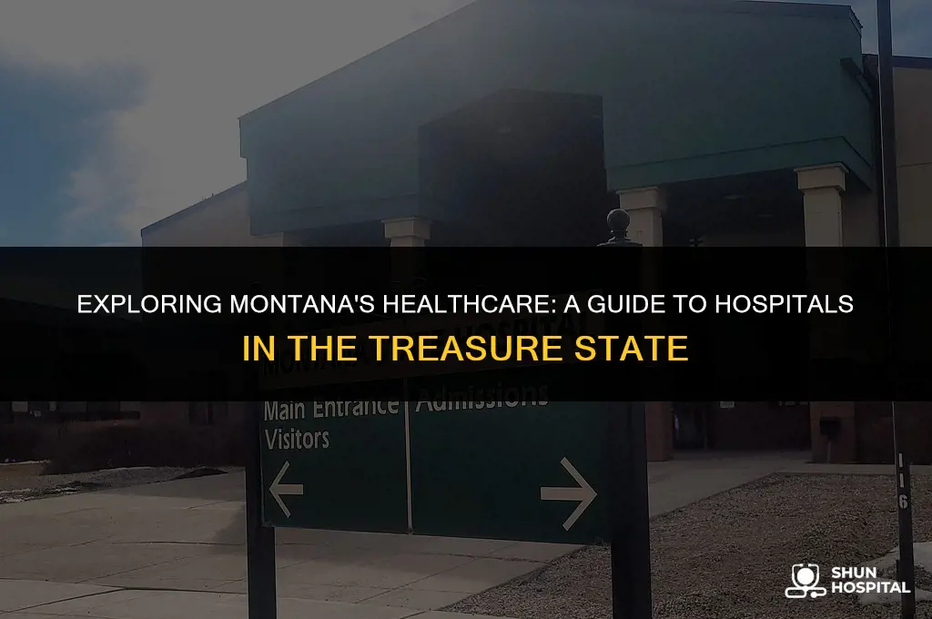 what hospitals are in montana