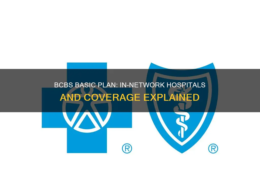 what hospitals are in network for bcbs basic plan