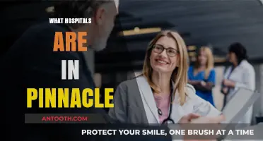 Exploring Pinnacle's Healthcare: A Guide to Local Hospitals