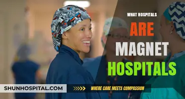 Exploring Magnet Hospitals: A Guide to Top Healthcare Facilities