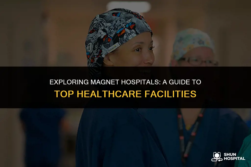 what hospitals are magnet hospitals