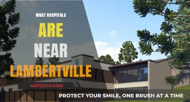 Exploring Healthcare Options: Hospitals Near Lambertville