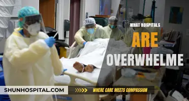 Healthcare Crisis: Hospitals Overwhelmed by Unprecedented Demand