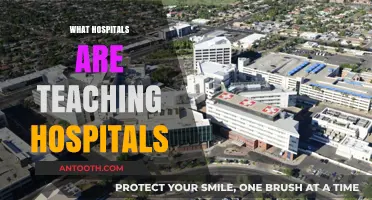 Exploring the Educational Landscape of Teaching Hospitals