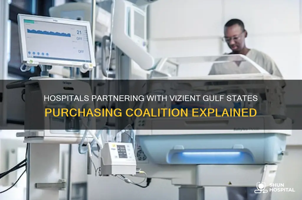what hospitals are with the vizient gulf states purchasing coalition