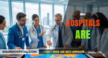 Understanding Hospitals: Essential Healthcare Hubs for Communities Worldwide