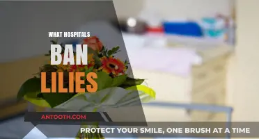 Why Hospitals Ban Lilies: Unveiling the Hidden Dangers