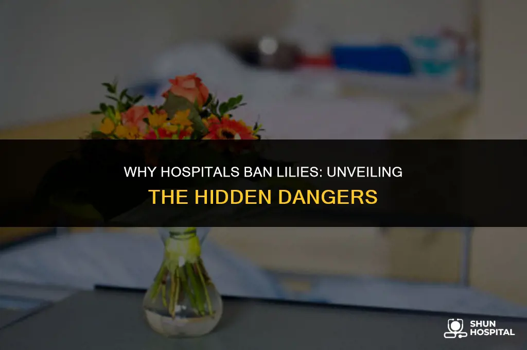 what hospitals ban lilies