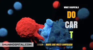 Exploring CAR T-Cell Therapy: A Guide to Hospitals Offering This Treatment