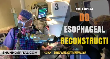 Exploring Hospitals That Perform Esophageal Reconstruction Surgeries