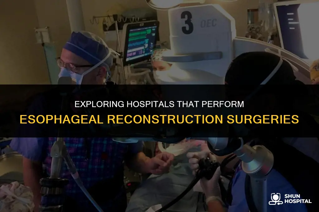 what hospitals do esophageal reconstructio