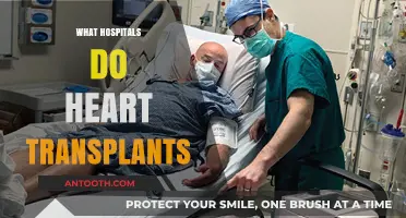 Saving Lives: Hospitals That Perform Heart Transplants