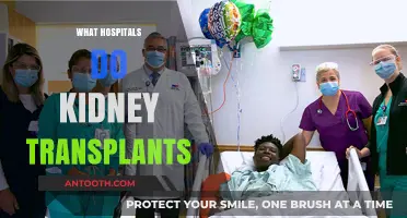 Exploring Hospitals That Perform Kidney Transplants: A Comprehensive Guide