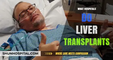 Exploring Liver Transplant Options: Top Hospitals and Considerations