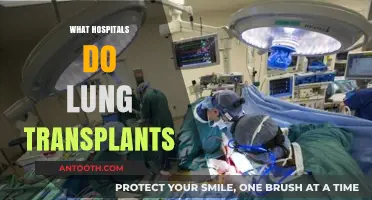 Exploring Hospitals That Perform Lung Transplants: A Comprehensive Guide