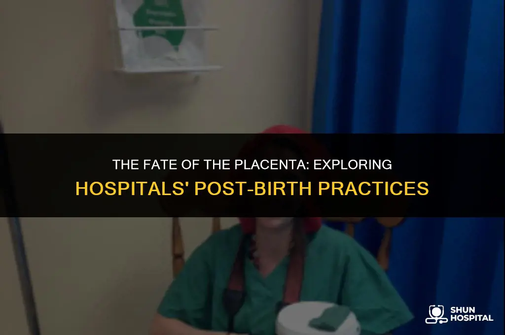 what hospitals do with placenta