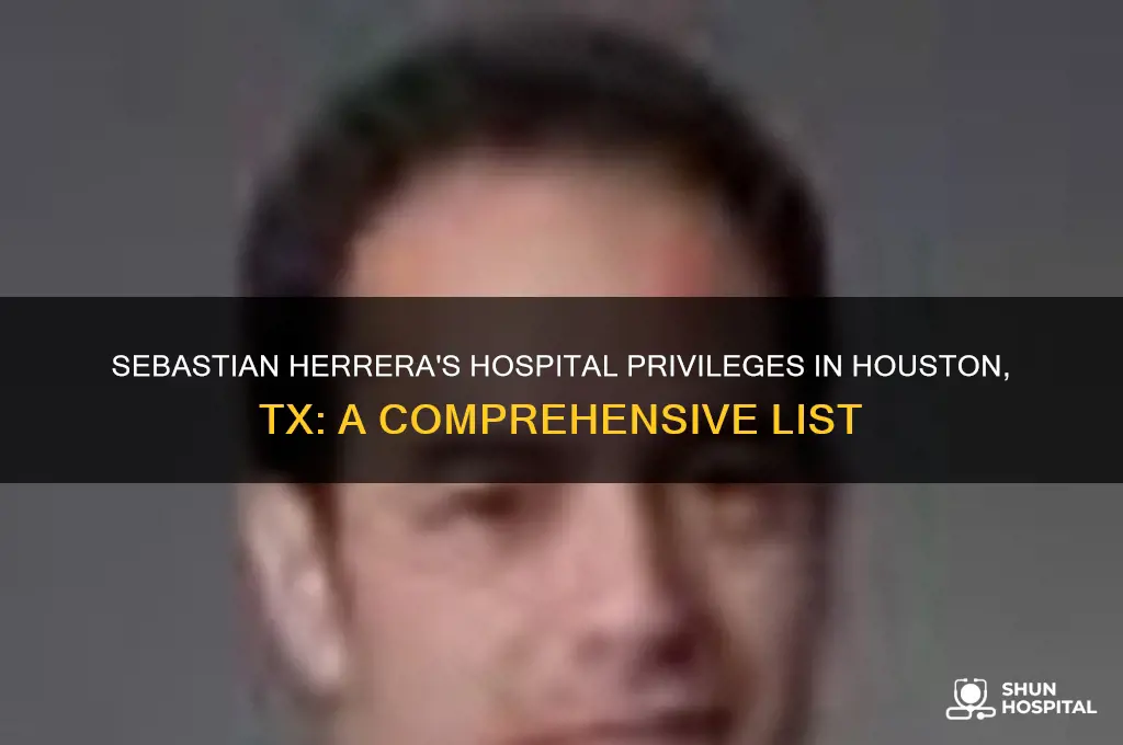 what hospitals does sebastian herrera have priveleges in houston tx