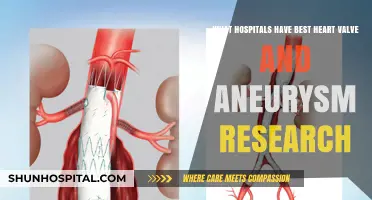 Top Hospitals Leading Heart Valve and Aneurysm Research Innovations