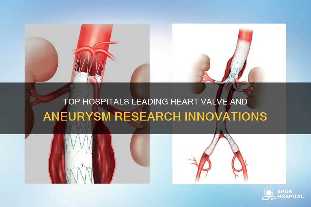 what hospitals have best heart valve and aneurysm research