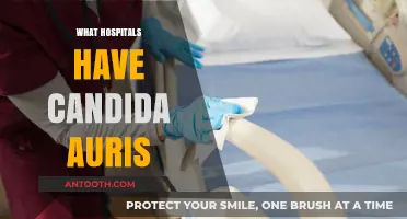 Uncovering the Truth: Hospitals Grappling with Candida Auris Outbreaks