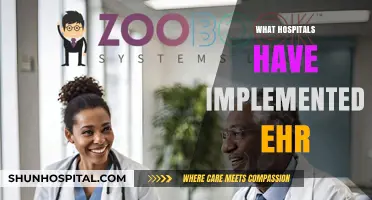 Exploring EHR Adoption: A Spotlight on Leading Hospitals