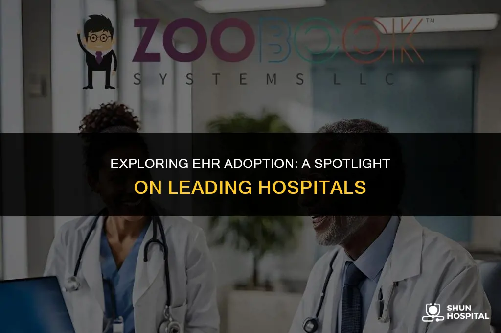 what hospitals have implemented ehr