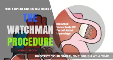Top Hospitals for Watchman Procedure Success Rates and Patient Outcomes