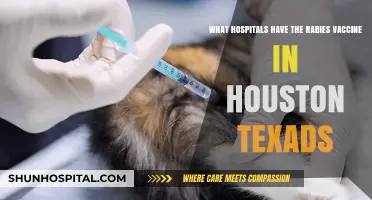 Houston Hospitals Offering Rabies Vaccines: Your Essential Guide