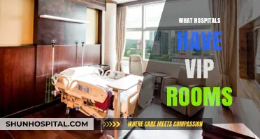 Exploring Luxury Healthcare: Hospitals with VIP Rooms