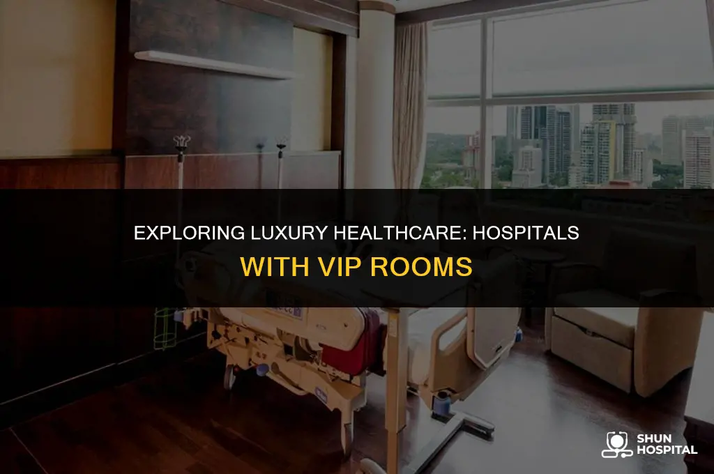 what hospitals have vip rooms