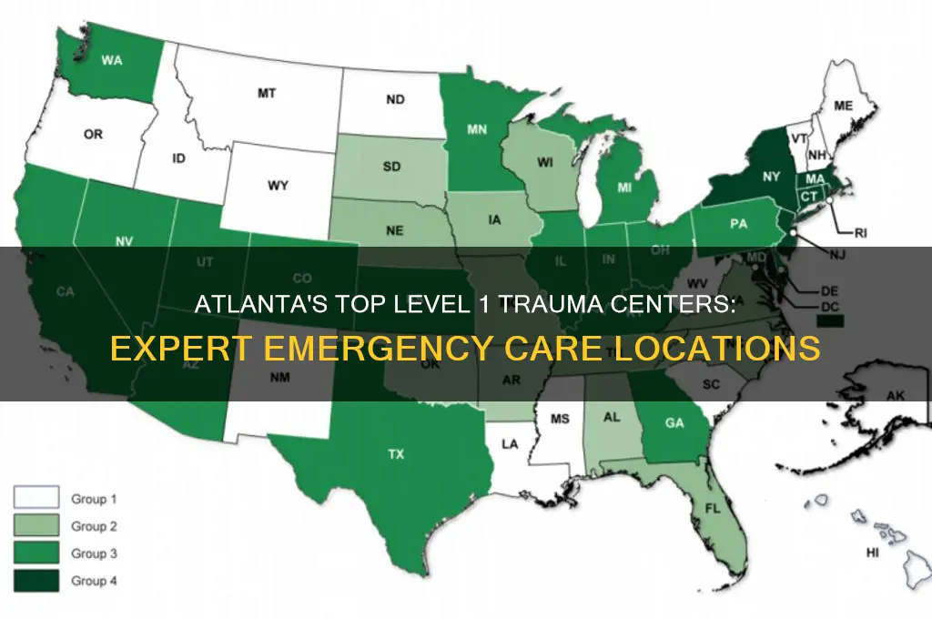 what hospitals in atlanta are level 1 trauma centers