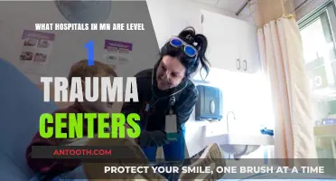 Minnesota's Top Level 1 Trauma Centers: A Comprehensive Hospital Guide