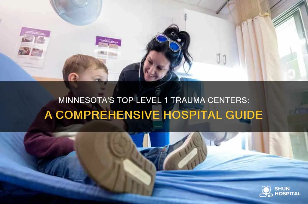what hospitals in mn are level 1 trauma centers