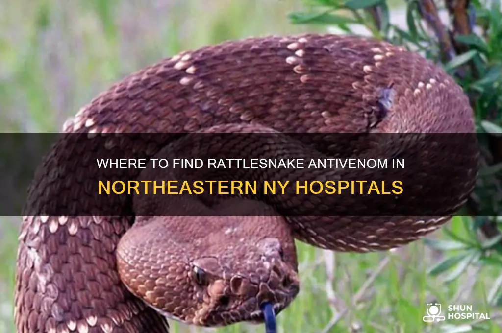 what hospitals in north eastern ny have rattlesnake antivenom