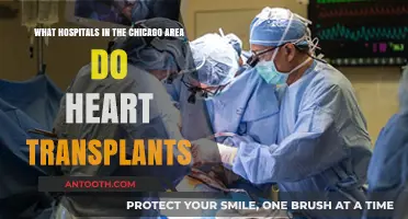 Chicago Heart Transplant Centers: Leading Hospitals for Cardiac Care